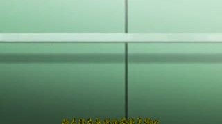 dongman#监狱战舰Vol.01洗脑的序曲DG-202