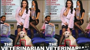 TheVeterinarian