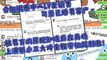 合肥银泰中心LV女销售勾引已婚男客户被男方的原配知晓后在商场上演抓小三大戏全程实拍超刺激